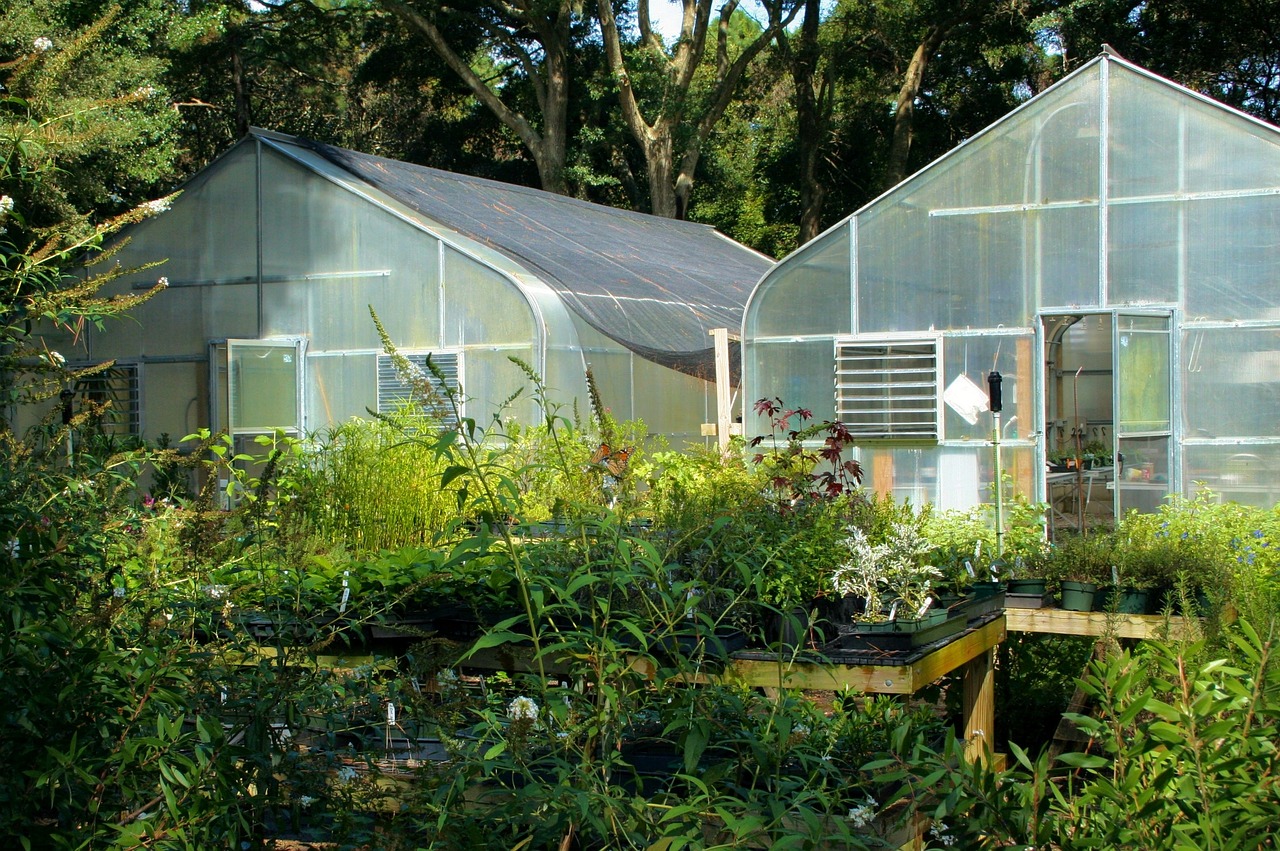 Repurpose Old Windows into a Chic Greenhouse